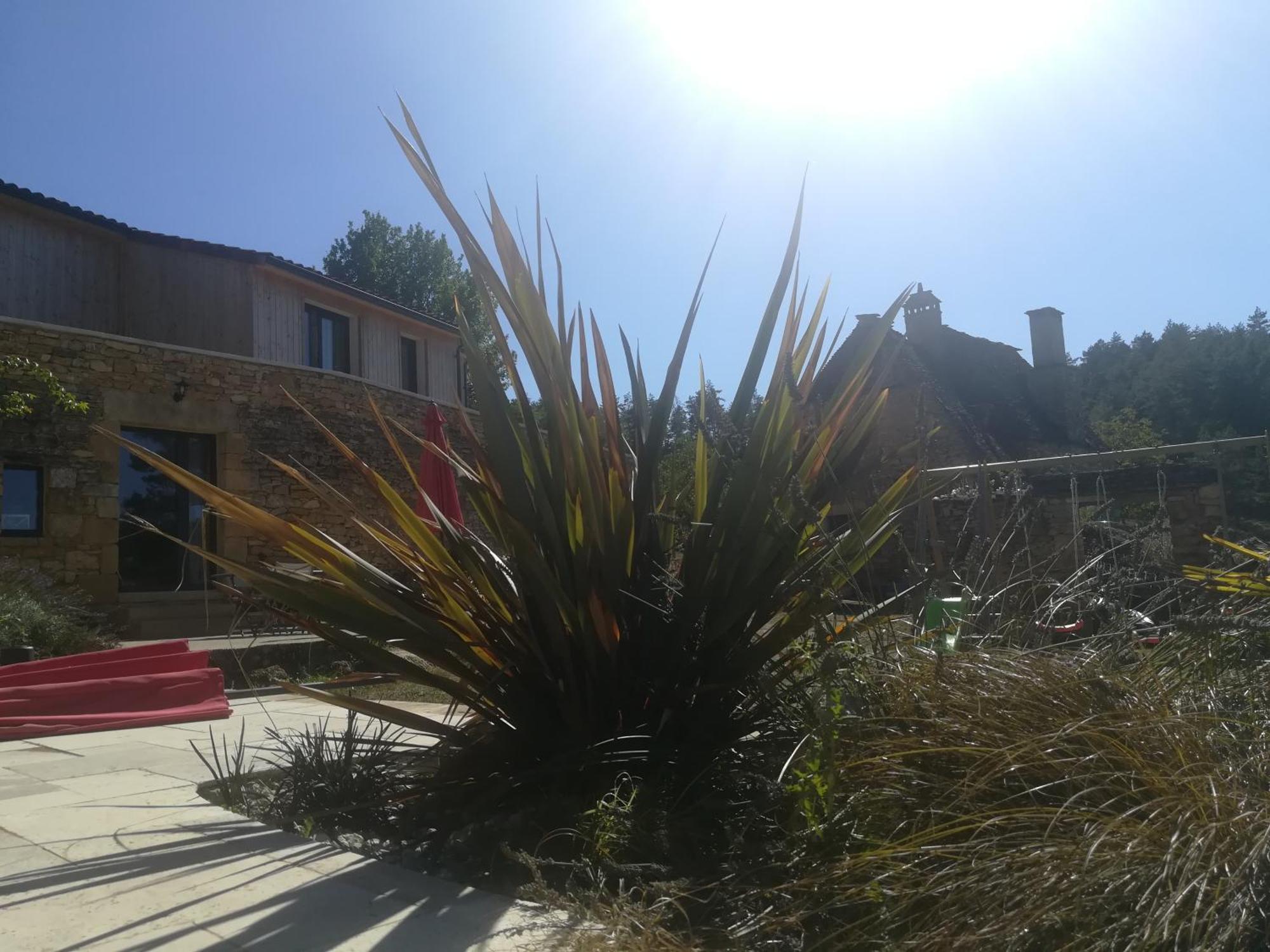 Gite Les Combes Montignac Lascaux Zewnętrze zdjęcie